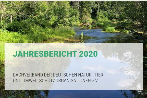 Jahresbericht 2020